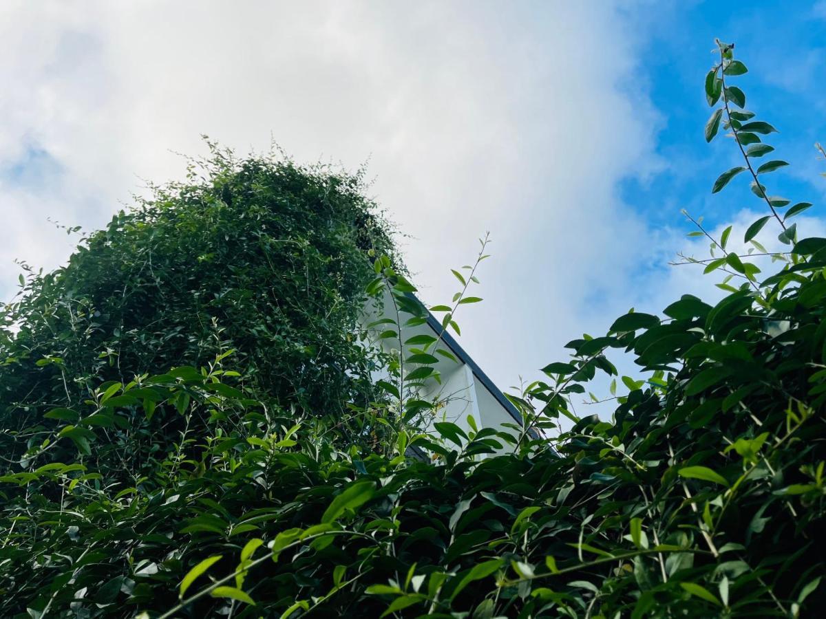 Coto Center Homestay 科多岛 外观 照片